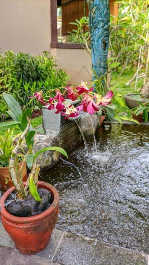 Indraprastha 2 Bungalow Ubud Eksteriør bilde